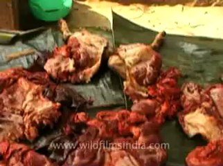 animal slaughter-19.flv