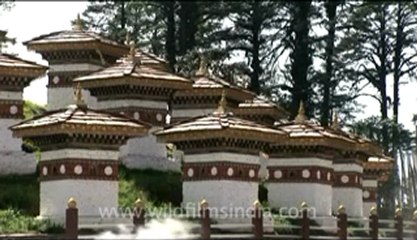 bhutan-thimphu-dochula-4.flv