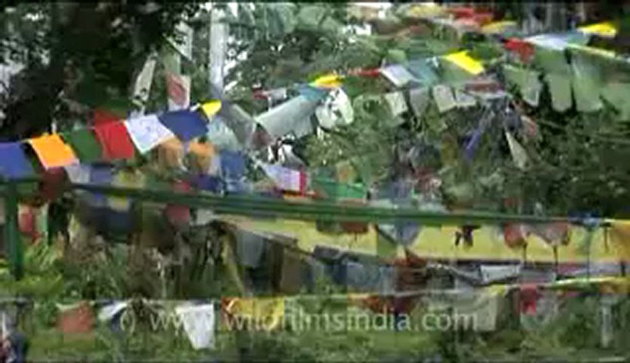 bhutan-thimphu-dochula-7.flv