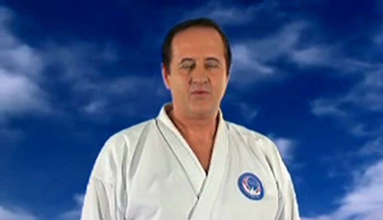 DVD volume 2 karaté Wado-Ryu, de la technique au combat :