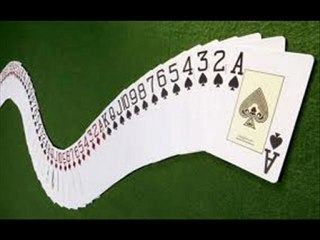 David Naber Medusoft - Enthusiastic Poker Player