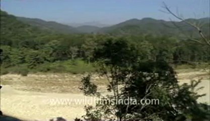 corbett-hdc-58-11.flv