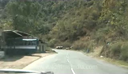 driving through jakhama-1.flv