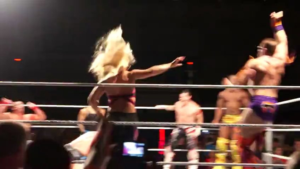 Ziggler Gets All Finishers including Ultimate Broski