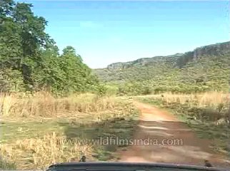 kanha-mdv-540-6.flv