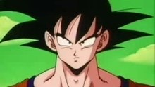 Goku & Frezer