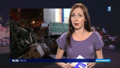 Pas de collecte pour les sapins à Nice