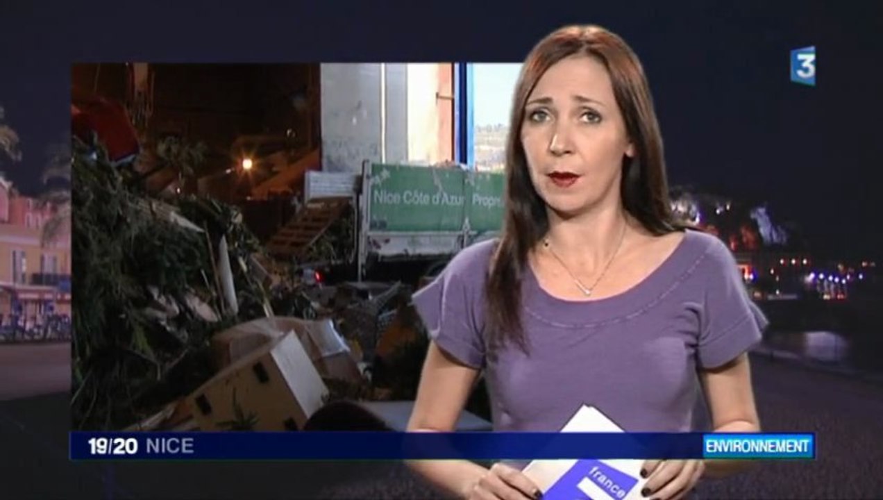 Pas de collecte pour les sapins à Nice