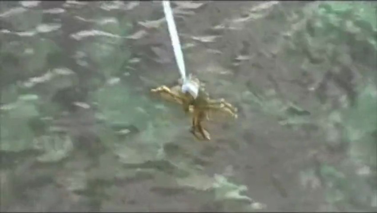 Φώτα 2013: Το θαύμα έγινε