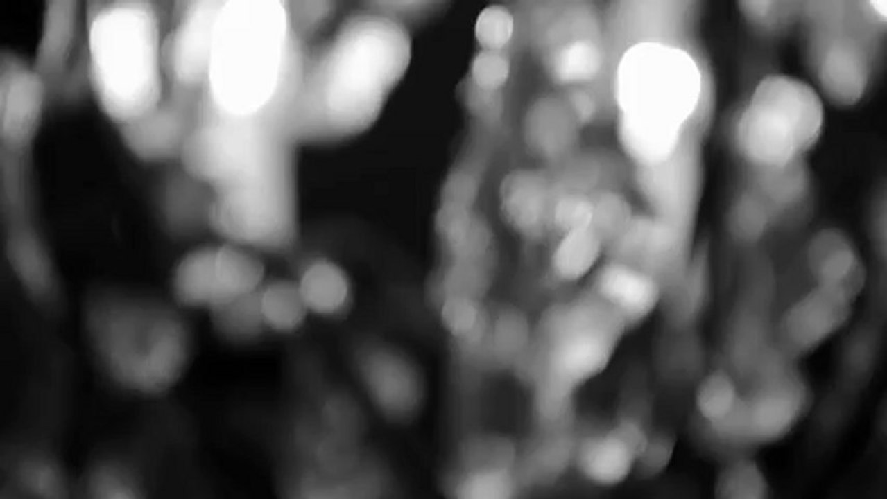 Les nuits de La Palombe