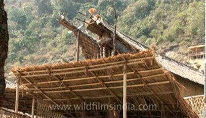 kisama village-Z-1-hdv-15-7.flv