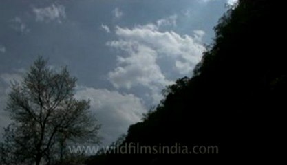 kisama village-Z-1-hdv-15-9.flv