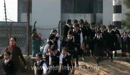 kisama village-children in don bosco school-Z-1-hdv-16-7.flv