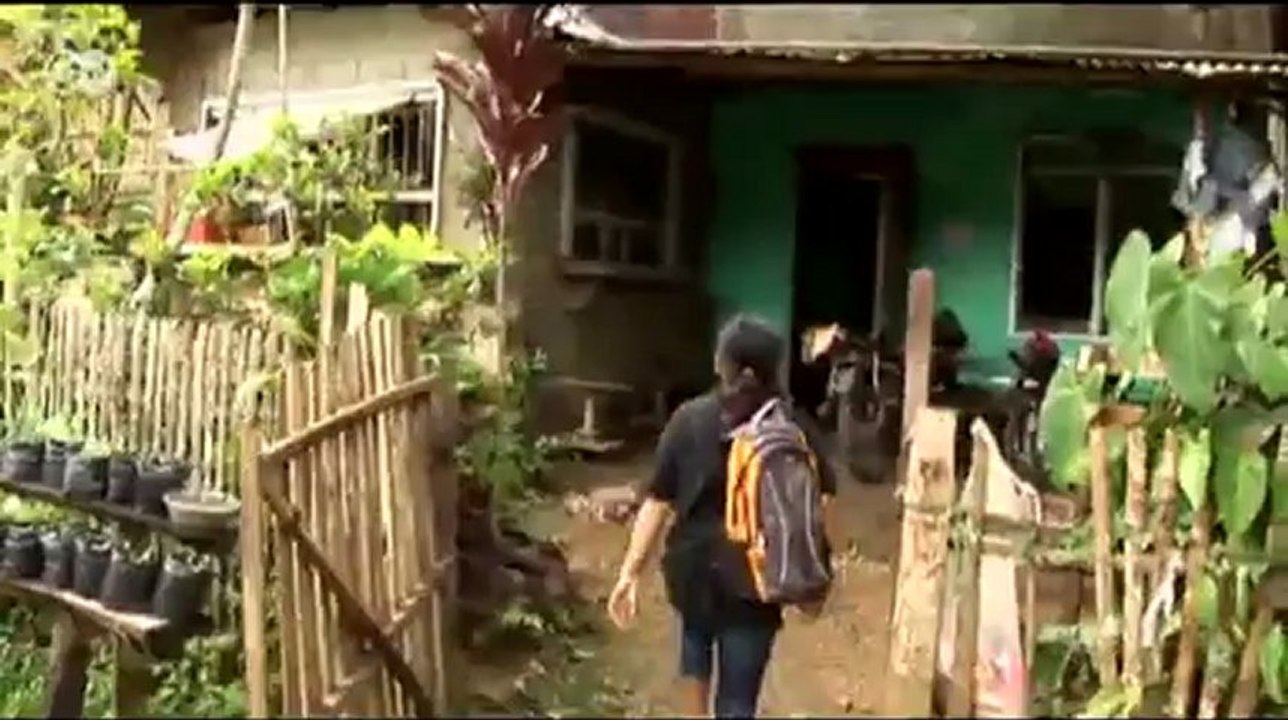 Philippinen: bäume gegen ackerland | global 3000