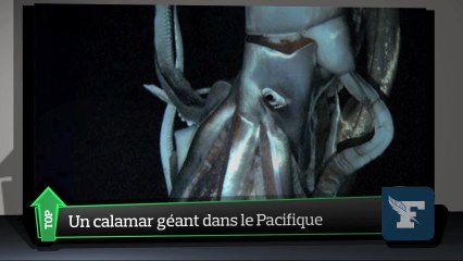 Top Média : Le costume à pois de Messi fait jaser sur Twitter