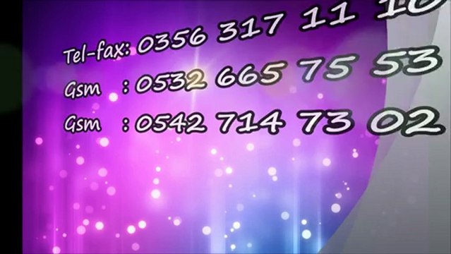 Egemen Asansör İNTRO 16