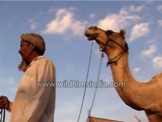 smoking injurious to health-MPEG-4 800Kbps.mp4