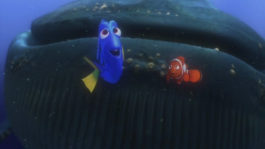 Le Monde de Nemo 3D - Extrait "Parler baleine" [VF|HD] [NoPopCorn] - Vidéo  Dailymotion