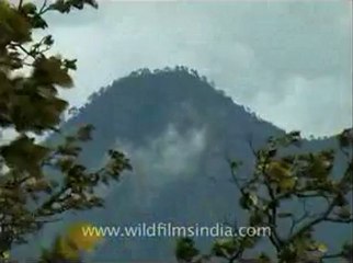 uttarkhand-ananda-2.flv
