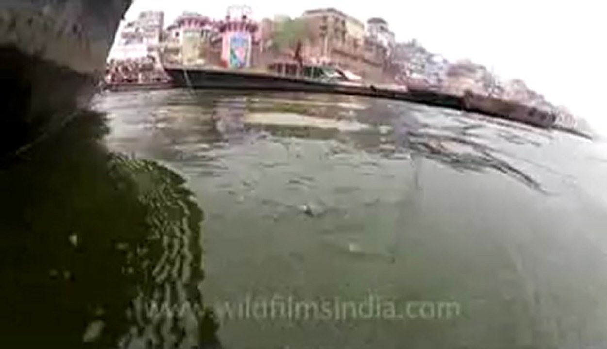 varanasi-36.flv