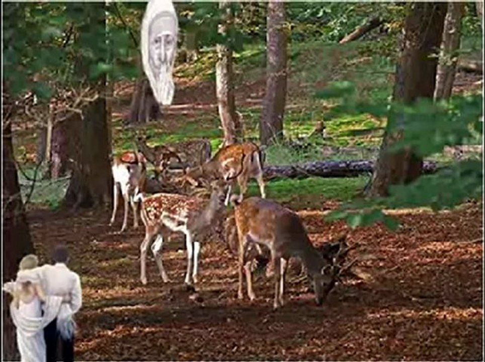 GDZIE JEST NASZE BETLEJEM