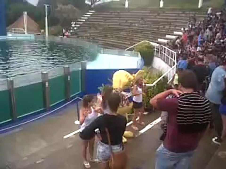 Pachorra mueve el verano...Qué ironía