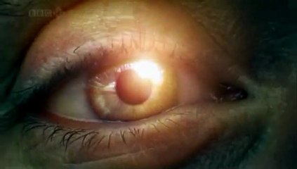 Görünmez Dünyalar : 2 - Gözden Uzak