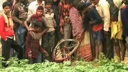 Elephant goes on rampage in Indian village