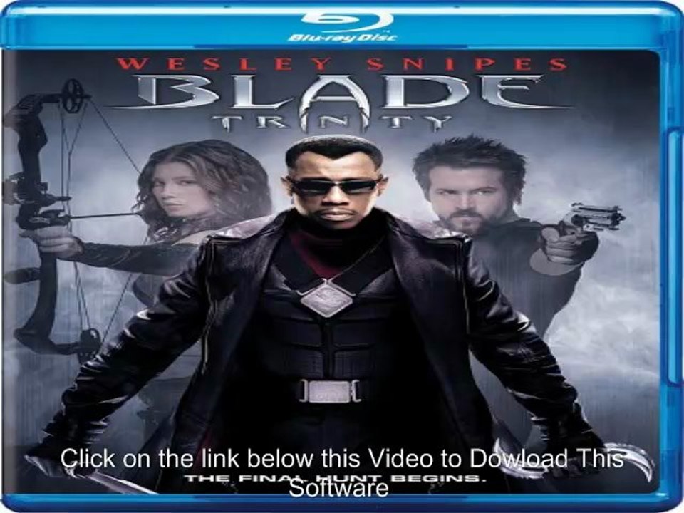 Blade Trinity (2004) BRRip 720p AAC x264-CC