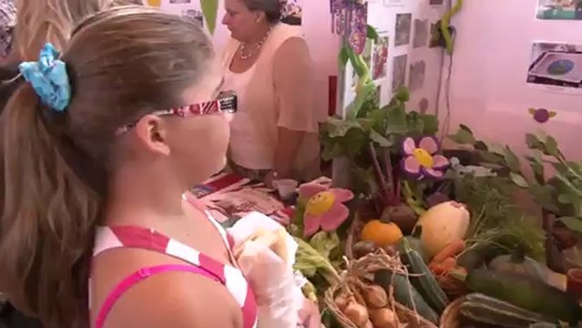 Forum des associations au Plessis-Robinson (septembre 2012)