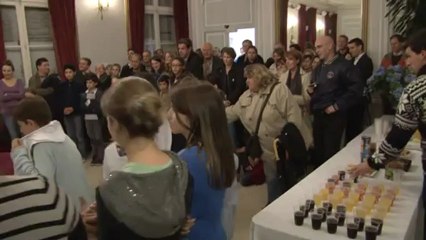 Election du Conseil des enfants au Plessis-Robinson