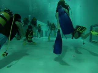 Nemo 33