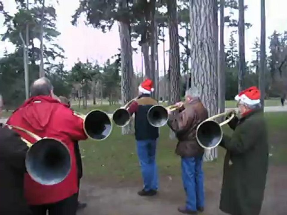 Trompes de décembre en action au bord d'un étang