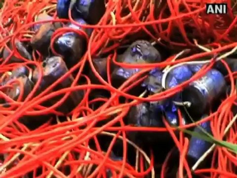 Cops seize 130 landmines planted by Maoists in Seraikela-Kharswan.mp4