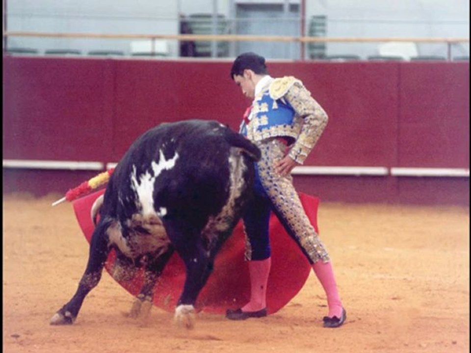 CARLOS GALVÁN 2012