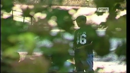 CITTADINAZA AGLI IMMIGRATI, SI' DEI VENEZIANI