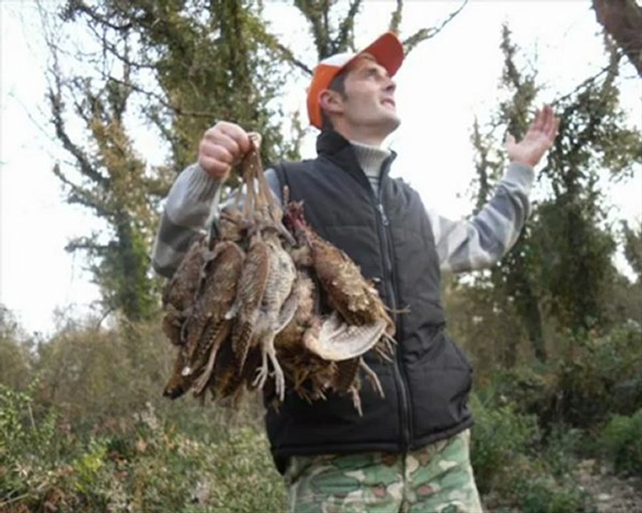 messi  radentis...setter