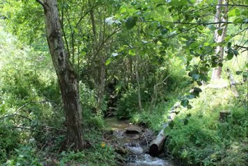 Halil Bytyqi & Vll.Gashi - Kanga Rexh Mehmeti