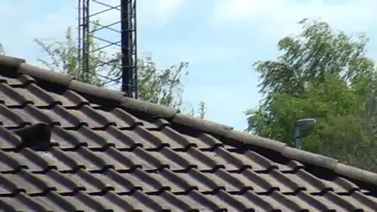 Wellington memorial flyby (1)