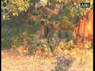 Maoists possessing Pak and US made arms nabbed.mp4