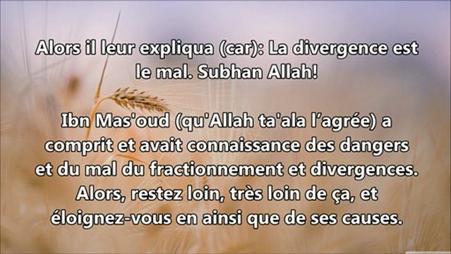 Conseils pour les salafis - cheikh Rabi' ibn Hâdi al Madkhali