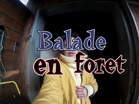 Ballade à cheval en forêt de Montmorency avec Princesse