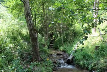 Sali Bajrami - Kamer Loshi , Ne vitin 1973