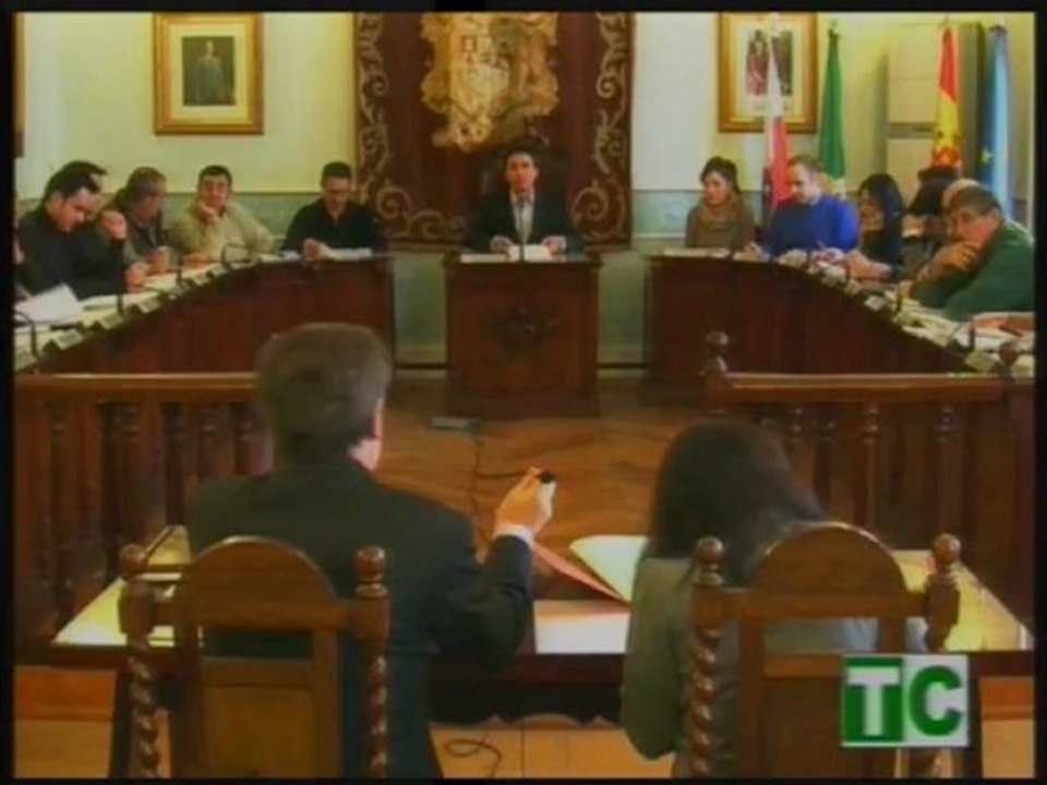 Pleno 8 enero 2013 1ª parte