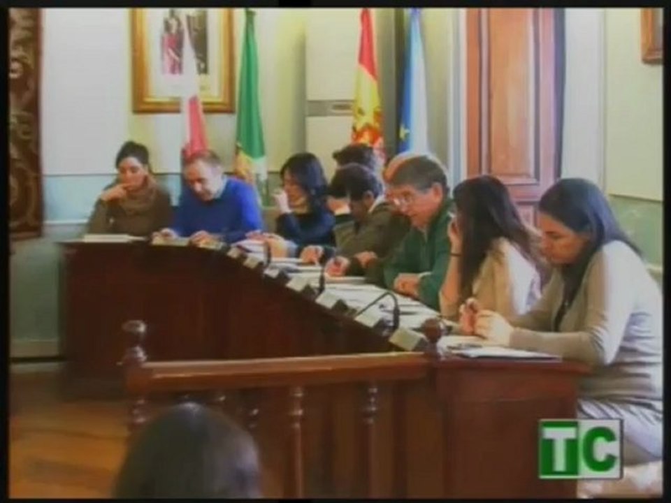 Pleno 8 enero 2013 2ª parte