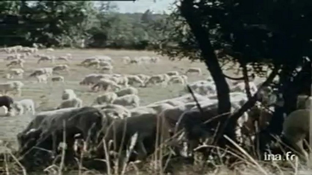 L'INQUISITION - Part- 2 -