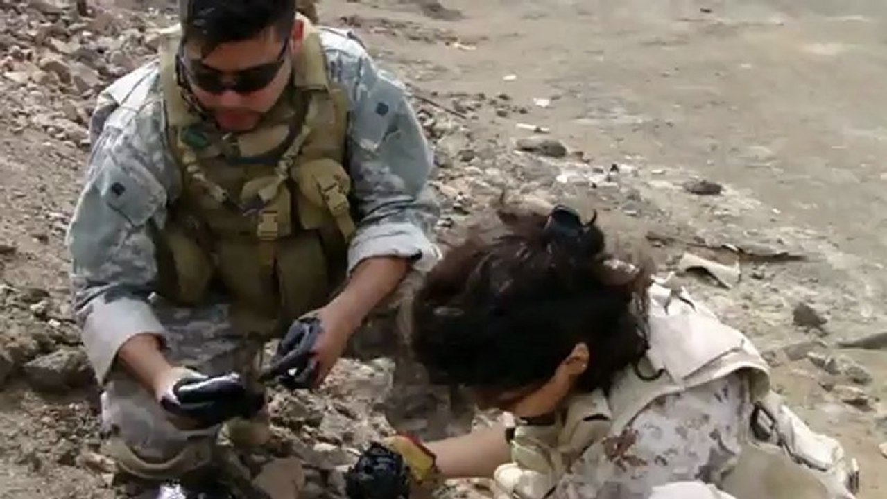 Des chiens sont sauvés du goudron 2/2