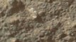 Mars Rover Curiosity Finds Alleged 'Flower'