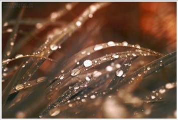 سورة الكهف سعد الغامدي