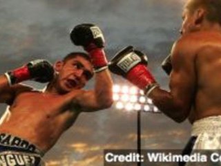 Scientists Suggest Human Hands Evolved for Fighting